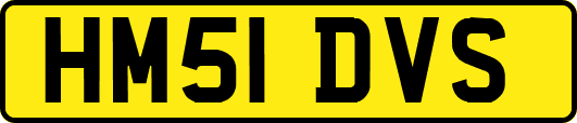 HM51DVS