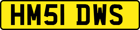 HM51DWS