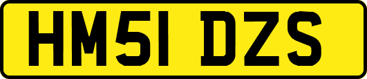 HM51DZS