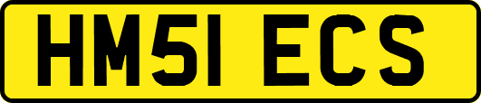 HM51ECS