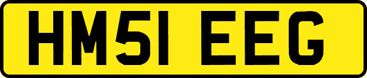 HM51EEG