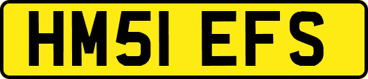 HM51EFS