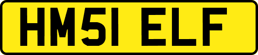 HM51ELF