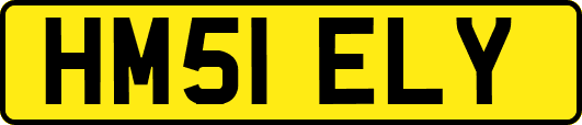 HM51ELY