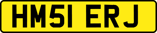 HM51ERJ