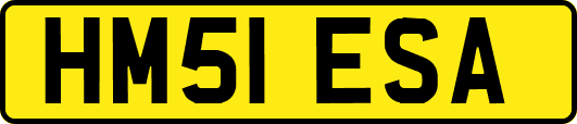 HM51ESA