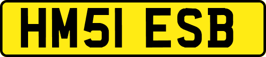 HM51ESB