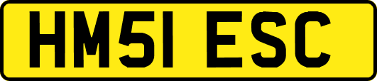 HM51ESC