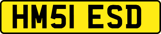 HM51ESD