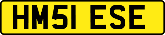 HM51ESE