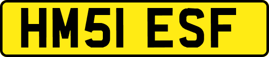 HM51ESF