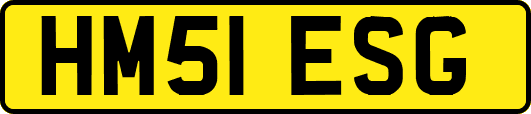 HM51ESG