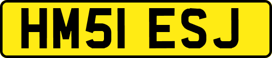 HM51ESJ