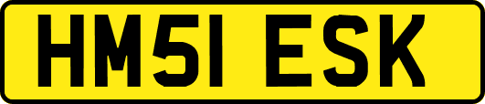 HM51ESK