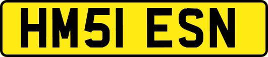 HM51ESN