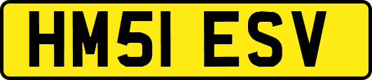 HM51ESV