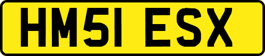 HM51ESX