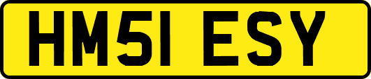 HM51ESY