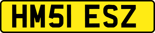 HM51ESZ