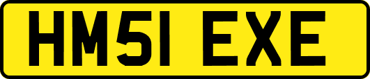 HM51EXE