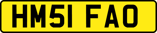 HM51FAO