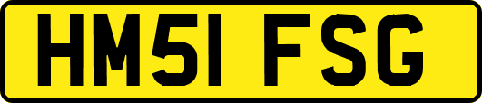 HM51FSG