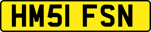 HM51FSN