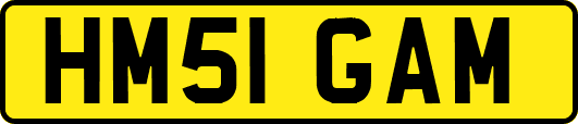 HM51GAM