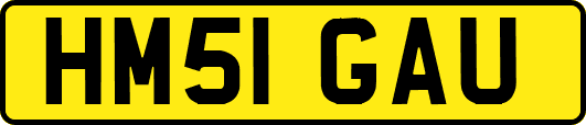 HM51GAU