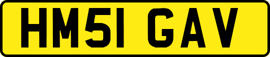 HM51GAV