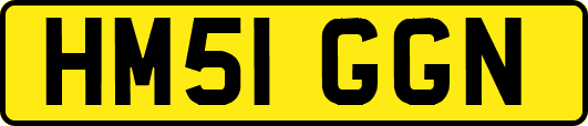 HM51GGN