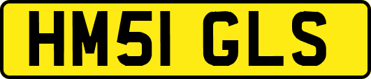 HM51GLS