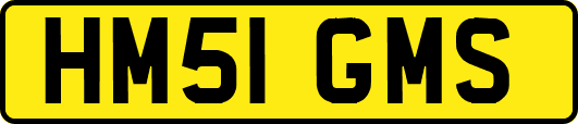 HM51GMS