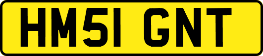 HM51GNT