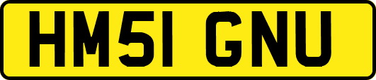 HM51GNU