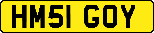 HM51GOY