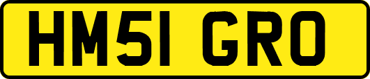 HM51GRO