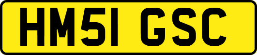 HM51GSC