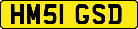 HM51GSD