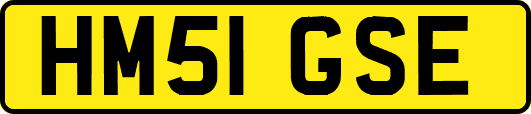 HM51GSE