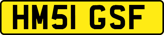 HM51GSF