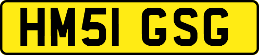 HM51GSG