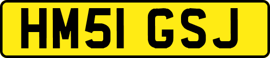 HM51GSJ