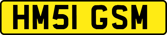 HM51GSM