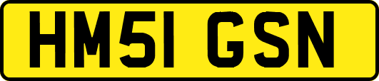 HM51GSN