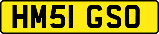 HM51GSO