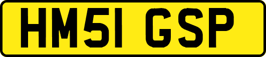 HM51GSP