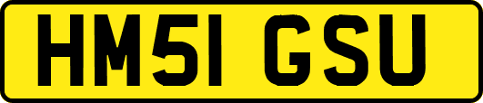 HM51GSU