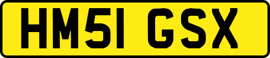 HM51GSX