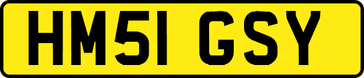 HM51GSY